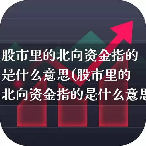股市里的北向资金指的是什么意思(股市里的北向资金指的是什么意思啊)_https://www.haiwangdasha.com_北交所_第1张