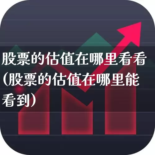 股票的估值在哪里看看(股票的估值在哪里能看到)_https://www.haiwangdasha.com_科创板_第1张