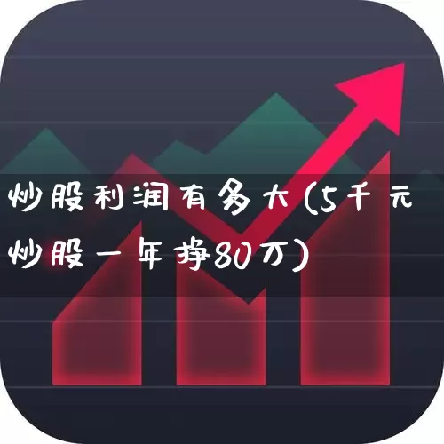 炒股利润有多大(5千元炒股一年挣80万)_https://www.haiwangdasha.com_创业板_第1张