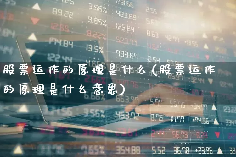 股票运作的原理是什么(股票运作的原理是什么意思)_https://www.haiwangdasha.com_上交所_第1张