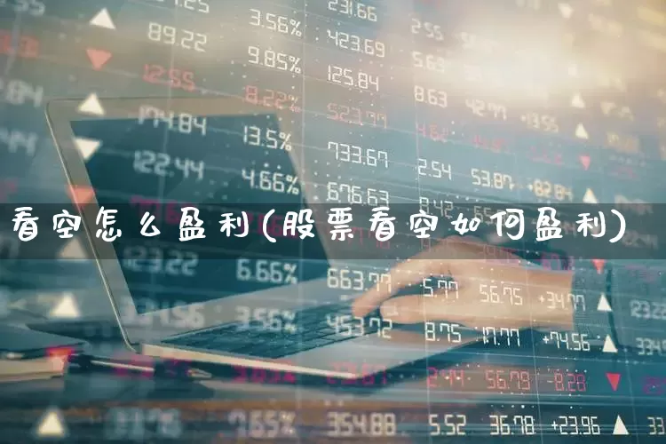 看空怎么盈利(股票看空如何盈利)_https://www.haiwangdasha.com_深交所_第1张