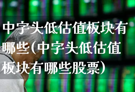 中字头低估值板块有哪些(中字头低估值板块有哪些股票)_https://www.haiwangdasha.com_创业板_第1张