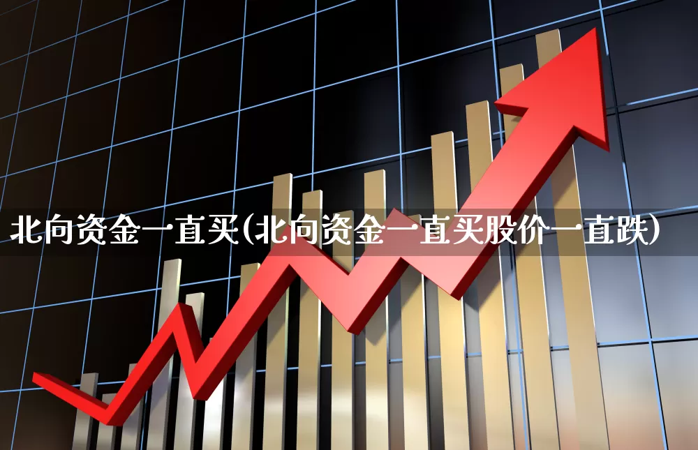 北向资金一直买(北向资金一直买股价一直跌)_https://www.haiwangdasha.com_创业板_第1张