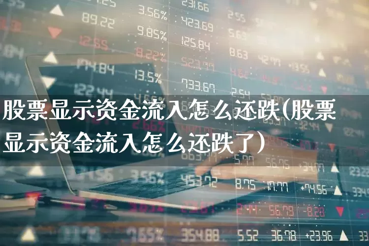 股票显示资金流入怎么还跌(股票显示资金流入怎么还跌了)_https://www.haiwangdasha.com_科创板_第1张