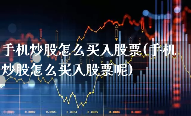 手机炒股怎么买入股票(手机炒股怎么买入股票呢)_https://www.haiwangdasha.com_北交所_第1张