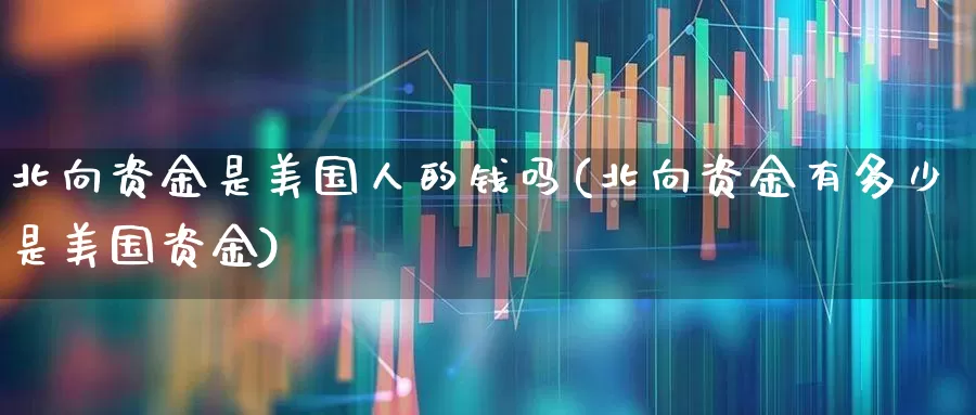 北向资金是美国人的钱吗(北向资金有多少是美国资金)_https://www.haiwangdasha.com_深交所_第1张