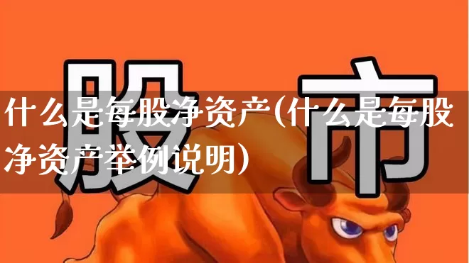 什么是每股净资产(什么是每股净资产举例说明)_https://www.haiwangdasha.com_深交所_第1张