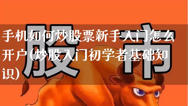 手机如何炒股票新手入门怎么开户(炒股入门初学者基础知识)_https://www.haiwangdasha.com_北交所_第1张