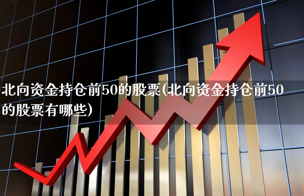 北向资金持仓前50的股票(北向资金持仓前50的股票有哪些)_https://www.haiwangdasha.com_北交所_第1张