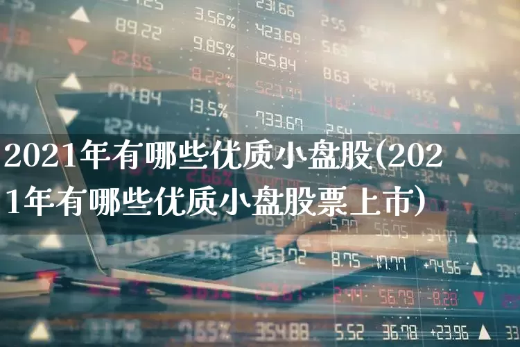 2021年有哪些优质小盘股(2021年有哪些优质小盘股票上市)_https://www.haiwangdasha.com_北交所_第1张