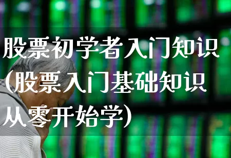 股票初学者入门知识(股票入门基础知识从零开始学)_https://www.haiwangdasha.com_深交所_第1张