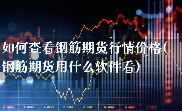 如何查看钢筋期货行情价格(钢筋期货用什么软件看)_https://www.haiwangdasha.com_北交所_第1张