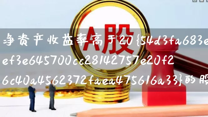 净资产收益率高于20%的股票(净资产收益率大于20%的股票)_https://www.haiwangdasha.com_创业板_第1张