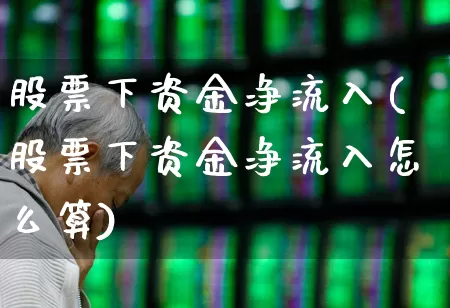 股票下资金净流入(股票下资金净流入怎么算)_https://www.haiwangdasha.com_北交所_第1张