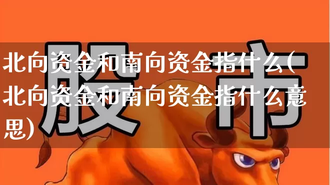 北向资金和南向资金指什么(北向资金和南向资金指什么意思)_https://www.haiwangdasha.com_上交所_第1张