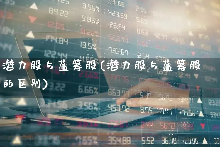 潜力股与蓝筹股(潜力股与蓝筹股的区别)_https://www.haiwangdasha.com_上交所_第1张