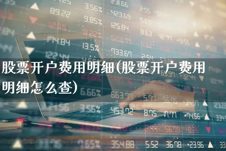 股票开户费用明细(股票开户费用明细怎么查)_https://www.haiwangdasha.com_深交所_第1张