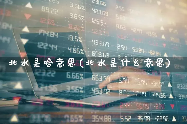 北水是啥意思(北水是什么意思)_https://www.haiwangdasha.com_北交所_第1张