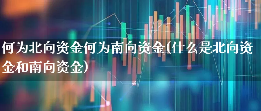 何为北向资金何为南向资金(什么是北向资金和南向资金)_https://www.haiwangdasha.com_深交所_第1张