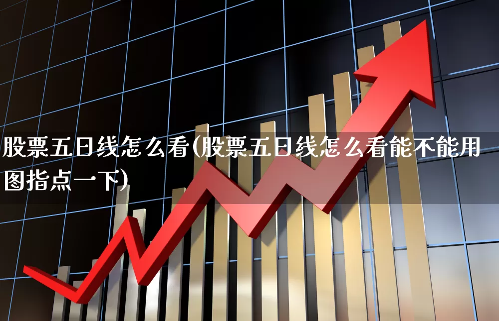 股票五日线怎么看(股票五日线怎么看能不能用图指点一下)_https://www.haiwangdasha.com_创业板_第1张