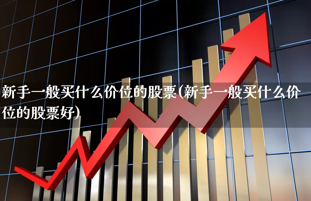 新手一般买什么价位的股票(新手一般买什么价位的股票好)_https://www.haiwangdasha.com_深交所_第1张