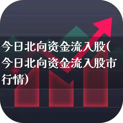 今日北向资金流入股(今日北向资金流入股市行情)_https://www.haiwangdasha.com_北交所_第1张