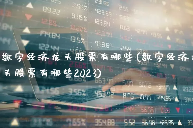 数字经济龙头股票有哪些(数字经济龙头股票有哪些2023)_https://www.haiwangdasha.com_上交所_第1张
