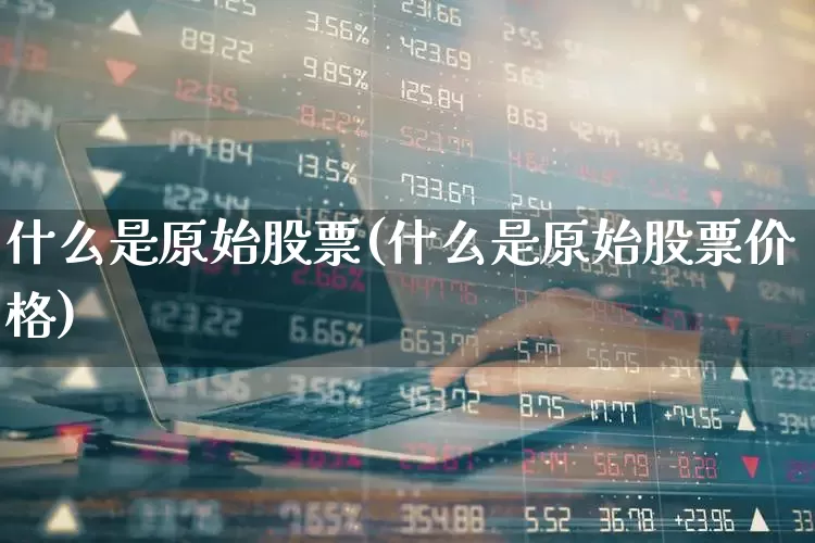 什么是原始股票(什么是原始股票价格)_https://www.haiwangdasha.com_上交所_第1张
