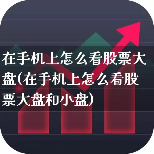 在手机上怎么看股票大盘(在手机上怎么看股票大盘和小盘)_https://www.haiwangdasha.com_深交所_第1张