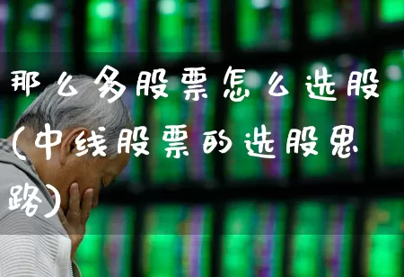 那么多股票怎么选股(中线股票的选股思路)_https://www.haiwangdasha.com_深交所_第1张
