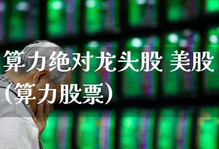 算力绝对龙头股 美股(算力股票)_https://www.haiwangdasha.com_北交所_第1张