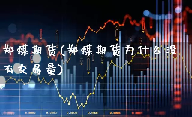 郑煤期货(郑煤期货为什么没有交易量)_https://www.haiwangdasha.com_广期所_第1张