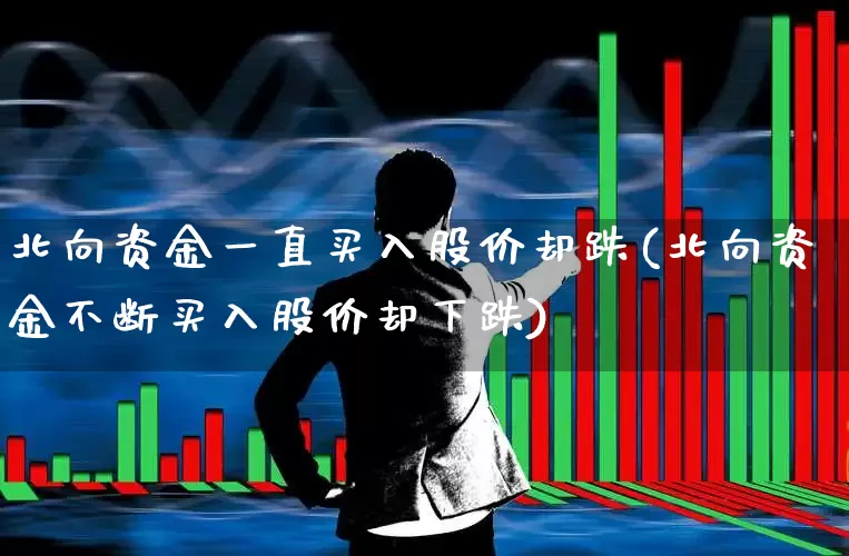 北向资金一直买入股价却跌(北向资金不断买入股价却下跌)_https://www.haiwangdasha.com_科创板_第1张