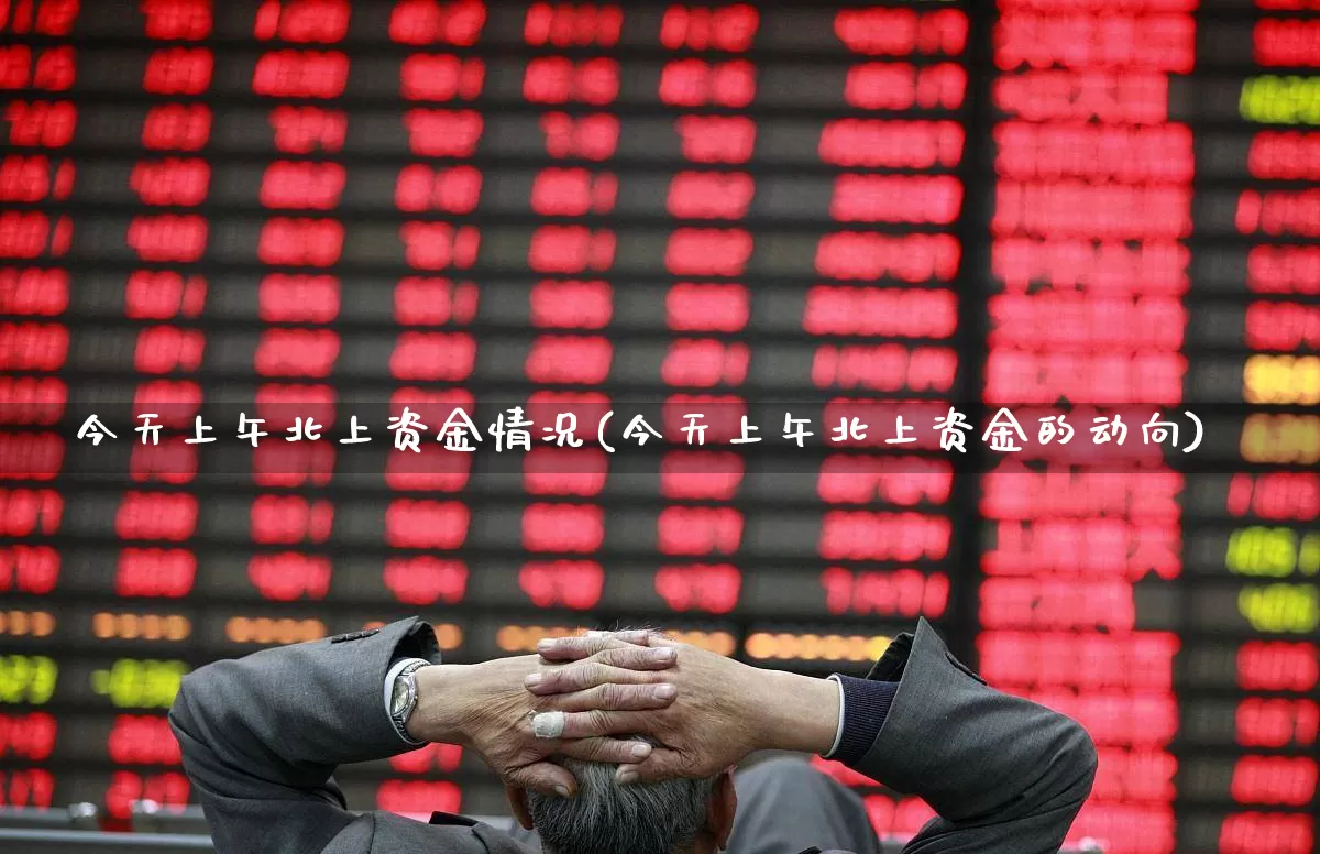 今天上午北上资金情况(今天上午北上资金的动向)_https://www.haiwangdasha.com_创业板_第1张