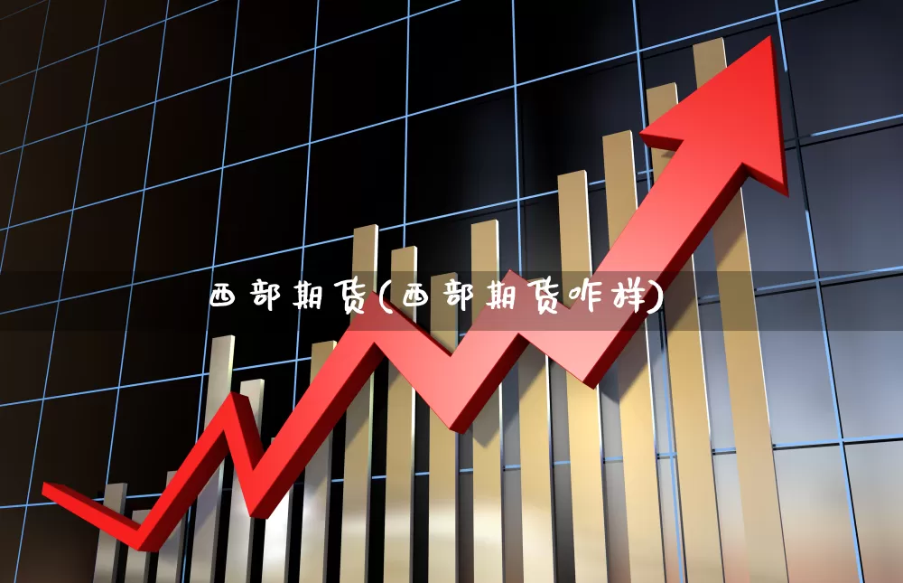 西部期货(西部期货咋样)_https://www.haiwangdasha.com_中金所_第1张