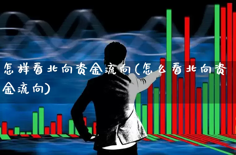 怎样看北向资金流向(怎么看北向资金流向)_https://www.haiwangdasha.com_深交所_第1张