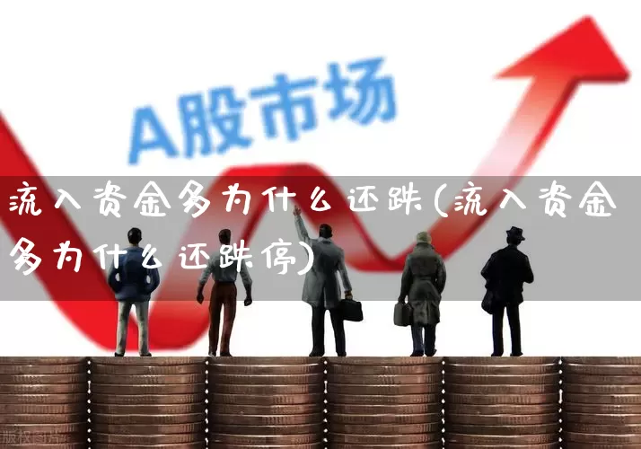 流入资金多为什么还跌(流入资金多为什么还跌停)_https://www.haiwangdasha.com_上交所_第1张