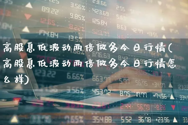高股息低波动两倍做多今日行情(高股息低波动两倍做多今日行情怎么样)_https://www.haiwangdasha.com_上交所_第1张