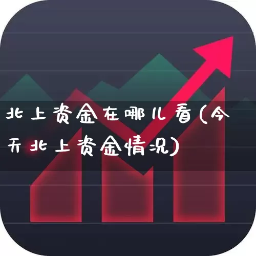 北上资金在哪儿看(今天北上资金情况)_https://www.haiwangdasha.com_北交所_第1张