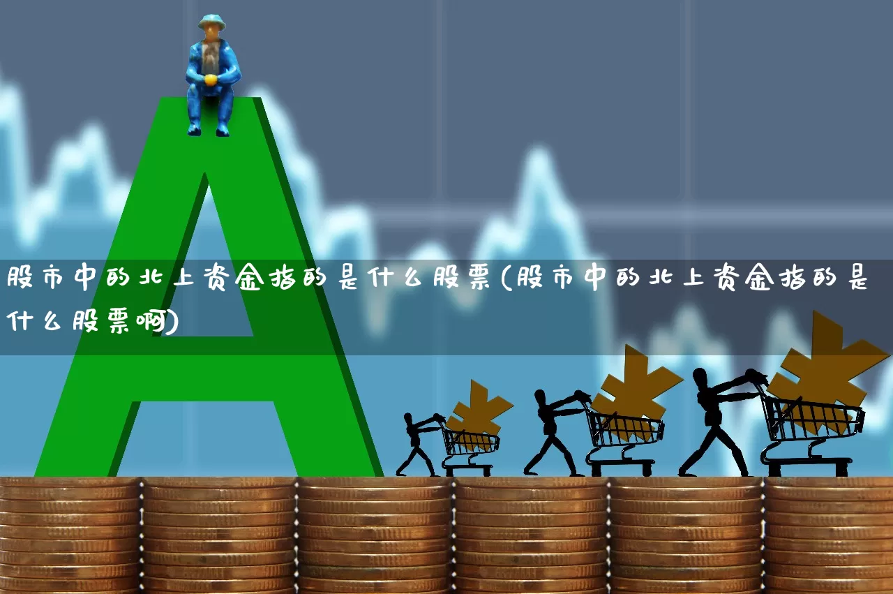 股市中的北上资金指的是什么股票(股市中的北上资金指的是什么股票啊)_https://www.haiwangdasha.com_创业板_第1张