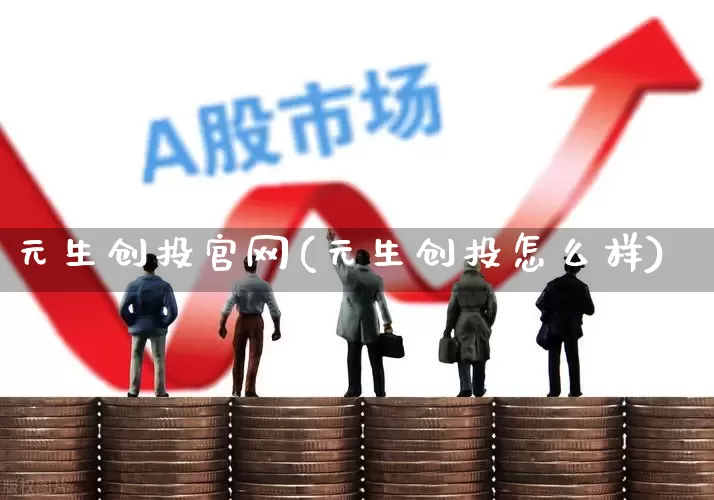 元生创投官网(元生创投怎么样)_https://www.haiwangdasha.com_大商所_第1张