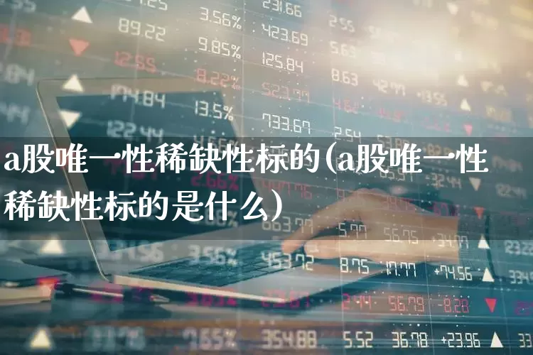 a股唯一性稀缺性标的(a股唯一性稀缺性标的是什么)_https://www.haiwangdasha.com_深交所_第1张