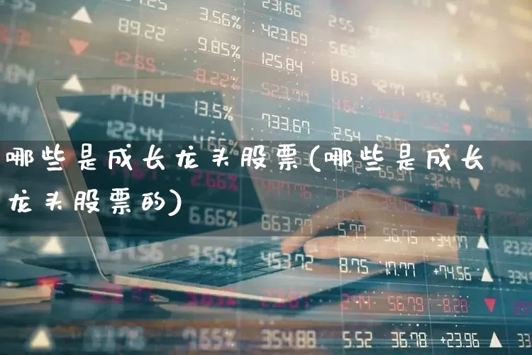 哪些是成长龙头股票(哪些是成长龙头股票的)_https://www.haiwangdasha.com_创业板_第1张