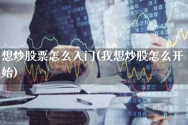 想炒股票怎么入门(我想炒股怎么开始)_https://www.haiwangdasha.com_创业板_第1张