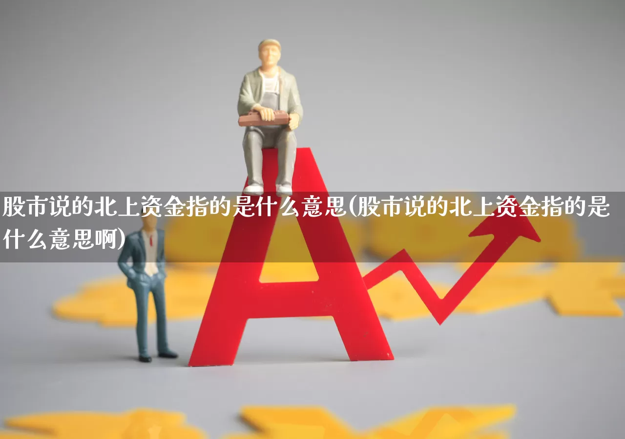 股市说的北上资金指的是什么意思(股市说的北上资金指的是什么意思啊)_https://www.haiwangdasha.com_创业板_第1张