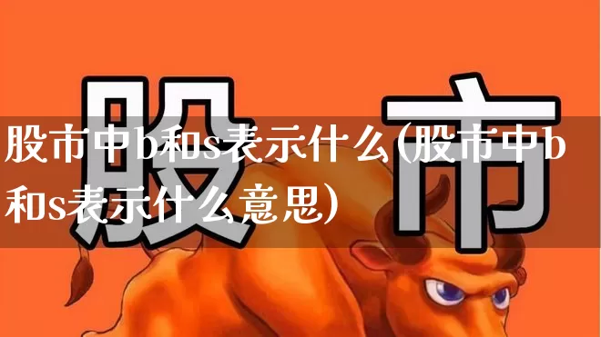 股市中b和s表示什么(股市中b和s表示什么意思)_https://www.haiwangdasha.com_科创板_第1张