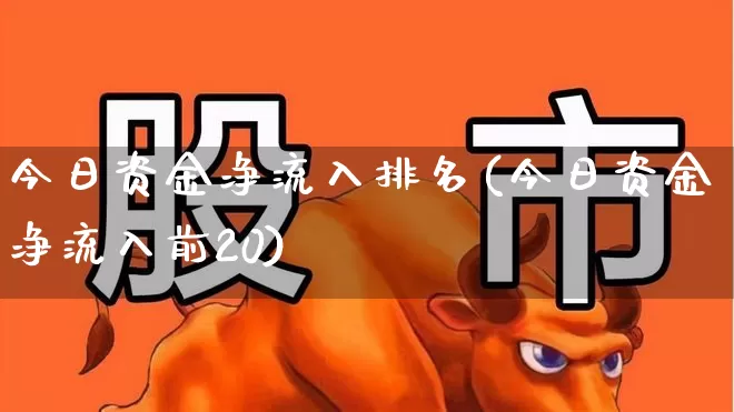 今日资金净流入排名(今日资金净流入前20)_https://www.haiwangdasha.com_北交所_第1张