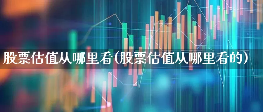 股票估值从哪里看(股票估值从哪里看的)_https://www.haiwangdasha.com_上交所_第1张