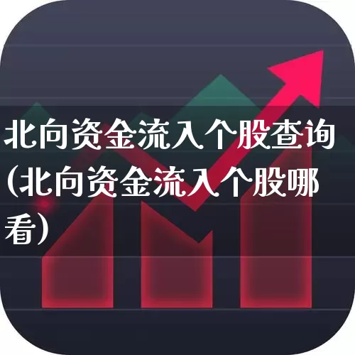 北向资金流入个股查询(北向资金流入个股哪看)_https://www.haiwangdasha.com_深交所_第1张