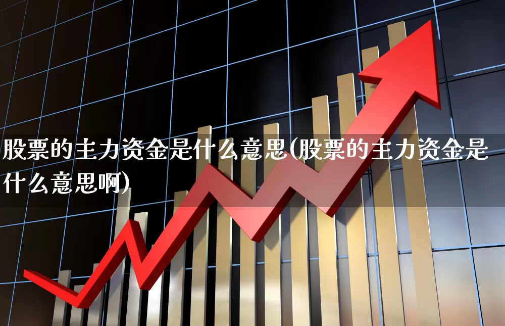 股票的主力资金是什么意思(股票的主力资金是什么意思啊)_https://www.haiwangdasha.com_深交所_第1张